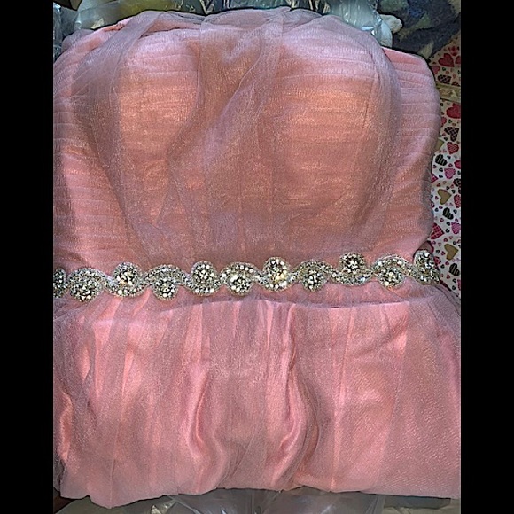 Plus size Dusty Pink Sheer Lace and Tulle Ball Gown - Picture 12 of 12